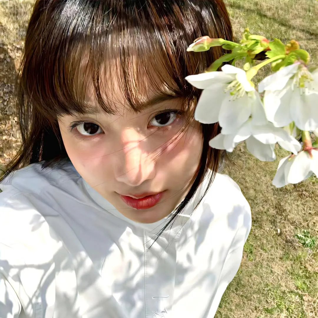 风骚律师第一季